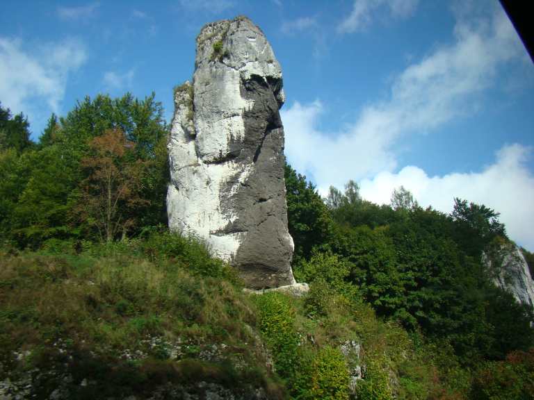 43