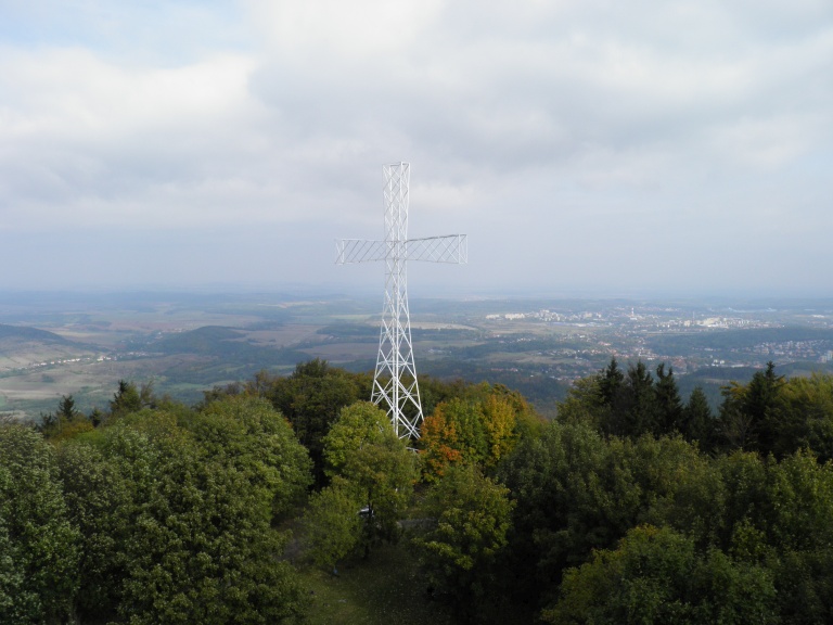 20