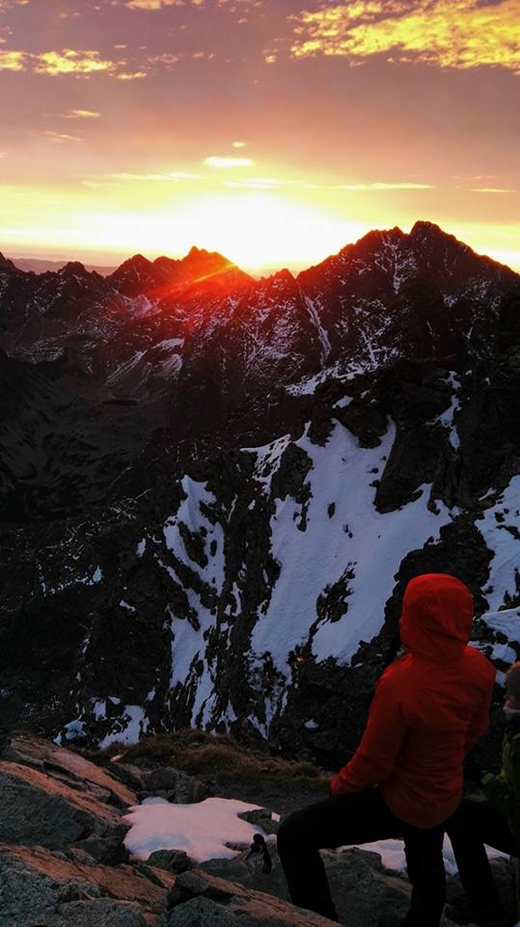 41