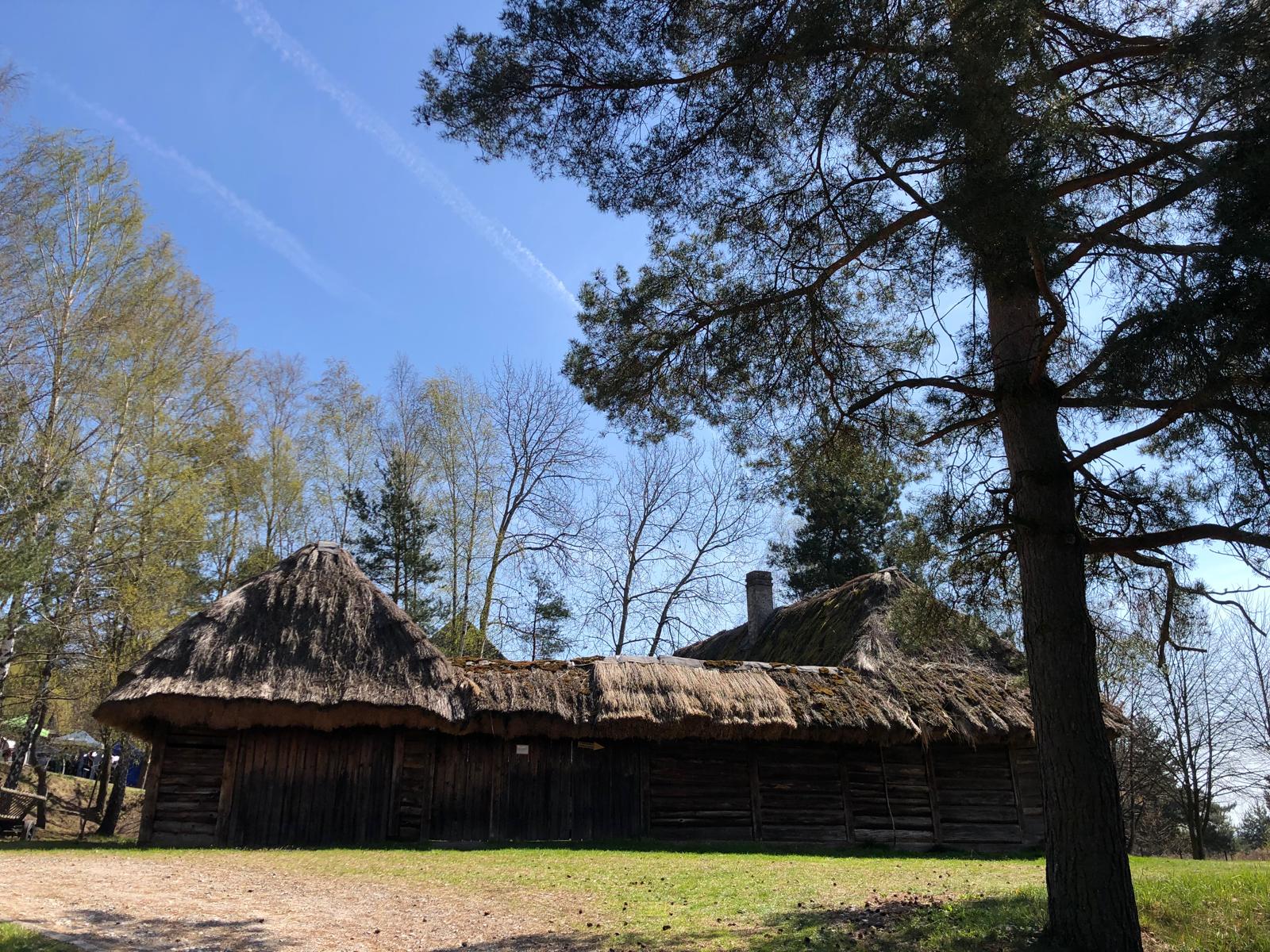 13.04.2025 - Niedziela Palmowa Wygiełzów